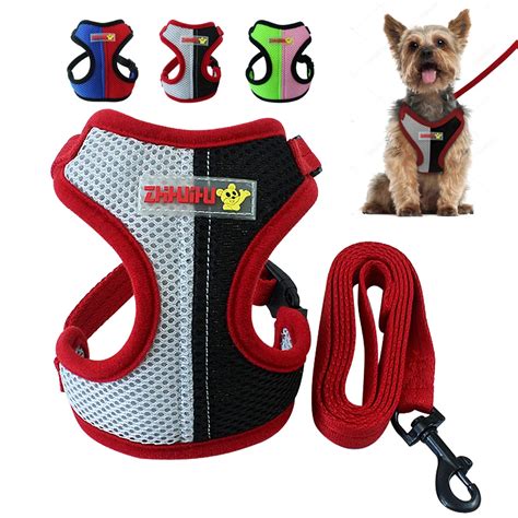 stylish dog harness and leash